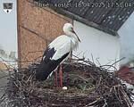 Capi_Dubne_20250418_175004.jpg