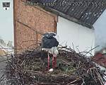 Capi_Dubne_20250418_175503.jpg