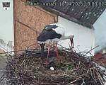 Capi_Dubne_20250418_180002.jpg