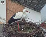 Capi_Dubne_20250418_180503.jpg
