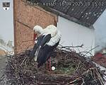 Capi_Dubne_20250418_181503.jpg