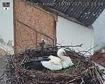 Capi_Dubne_20250418_182004.jpg