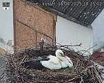 Capi_Dubne_20250418_182502.jpg