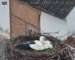 Capi_Dubne_20250418_183002.jpg