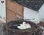 Capi_Dubne_20250418_184503.jpg