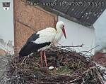 Capi_Dubne_20250418_185503.jpg