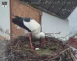 Capi_Dubne_20250418_190003.jpg
