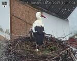 Capi_Dubne_20250418_190504.jpg