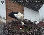 Capi_Dubne_20250418_191502.jpg