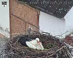 Capi_Dubne_20250418_192003.jpg
