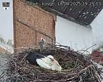 Capi_Dubne_20250418_192503.jpg