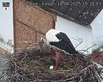 Capi_Dubne_20250418_193003.jpg
