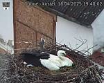 Capi_Dubne_20250418_194002.jpg