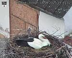 Capi_Dubne_20250418_194502.jpg