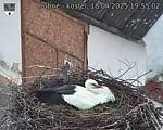Capi_Dubne_20250418_195502.jpg