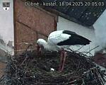 Capi_Dubne_20250418_200503.jpg