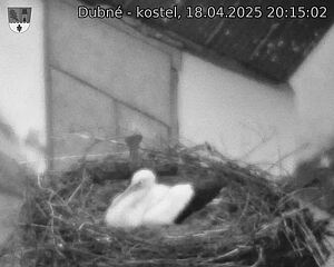Capi_Dubne_20250418_201502.jpg (1350 x 1080)