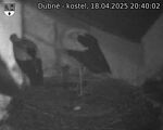 Capi_Dubne_20250418_204002.jpg