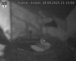 Capi_Dubne_20250418_211502.jpg