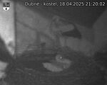 Capi_Dubne_20250418_212002.jpg