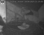 Capi_Dubne_20250418_212503.jpg