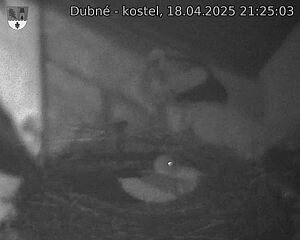 Capi_Dubne_20250418_212503.jpg (1350 x 1080)