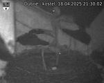 Capi_Dubne_20250418_213002.jpg
