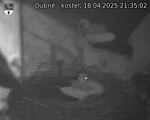 Capi_Dubne_20250418_213502.jpg