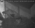 Capi_Dubne_20250418_220502.jpg