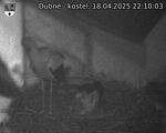 Capi_Dubne_20250418_221003.jpg
