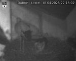 Capi_Dubne_20250418_221502.jpg