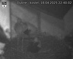 Capi_Dubne_20250418_224002.jpg