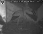 Capi_Dubne_20250418_225502.jpg