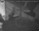 Capi_Dubne_20250418_230003.jpg