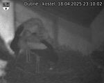 Capi_Dubne_20250418_231002.jpg