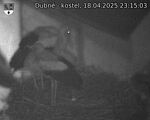 Capi_Dubne_20250418_231503.jpg