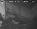 Capi_Dubne_20250418_232502.jpg