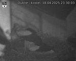 Capi_Dubne_20250418_233003.jpg