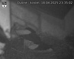 Capi_Dubne_20250418_233502.jpg