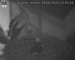 Capi_Dubne_20250418_234502.jpg