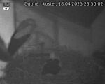 Capi_Dubne_20250418_235002.jpg