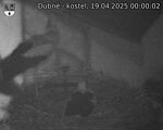 Capi_Dubne_20250419_000002.jpg