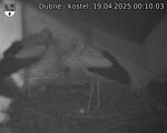 Capi_Dubne_20250419_001003.jpg