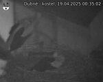 Capi_Dubne_20250419_003502.jpg