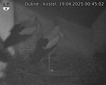 Capi_Dubne_20250419_004502.jpg