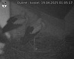 Capi_Dubne_20250419_010517.jpg