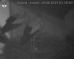 Capi_Dubne_20250419_011003.jpg