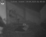 Capi_Dubne_20250419_014503.jpg