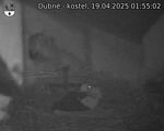 Capi_Dubne_20250419_015502.jpg