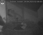 Capi_Dubne_20250419_020003.jpg